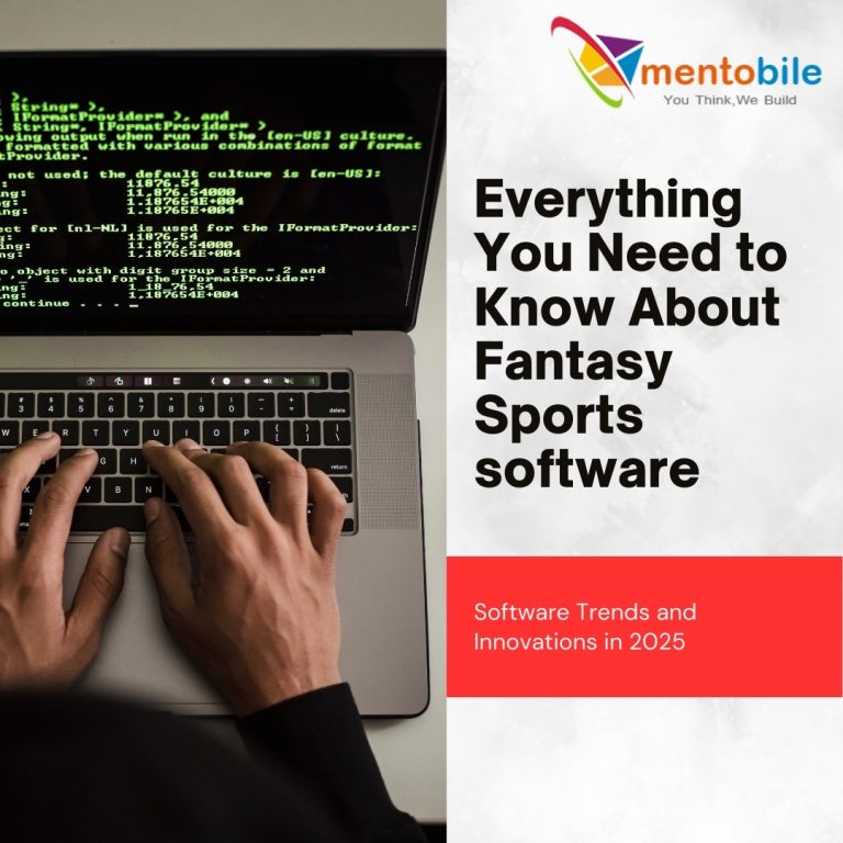 Everything You Need to Know About Fantasy Sports Software