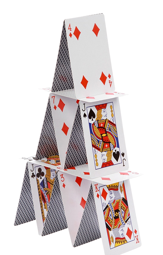 vison11